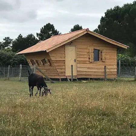 Gite - La Ferme A La Plage Le Porge Luaran gambar